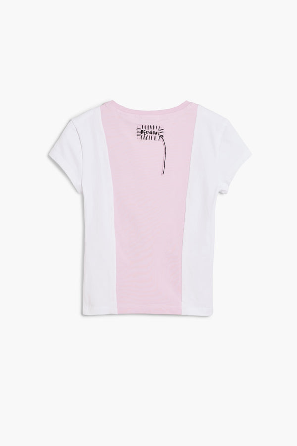 TS Mickey