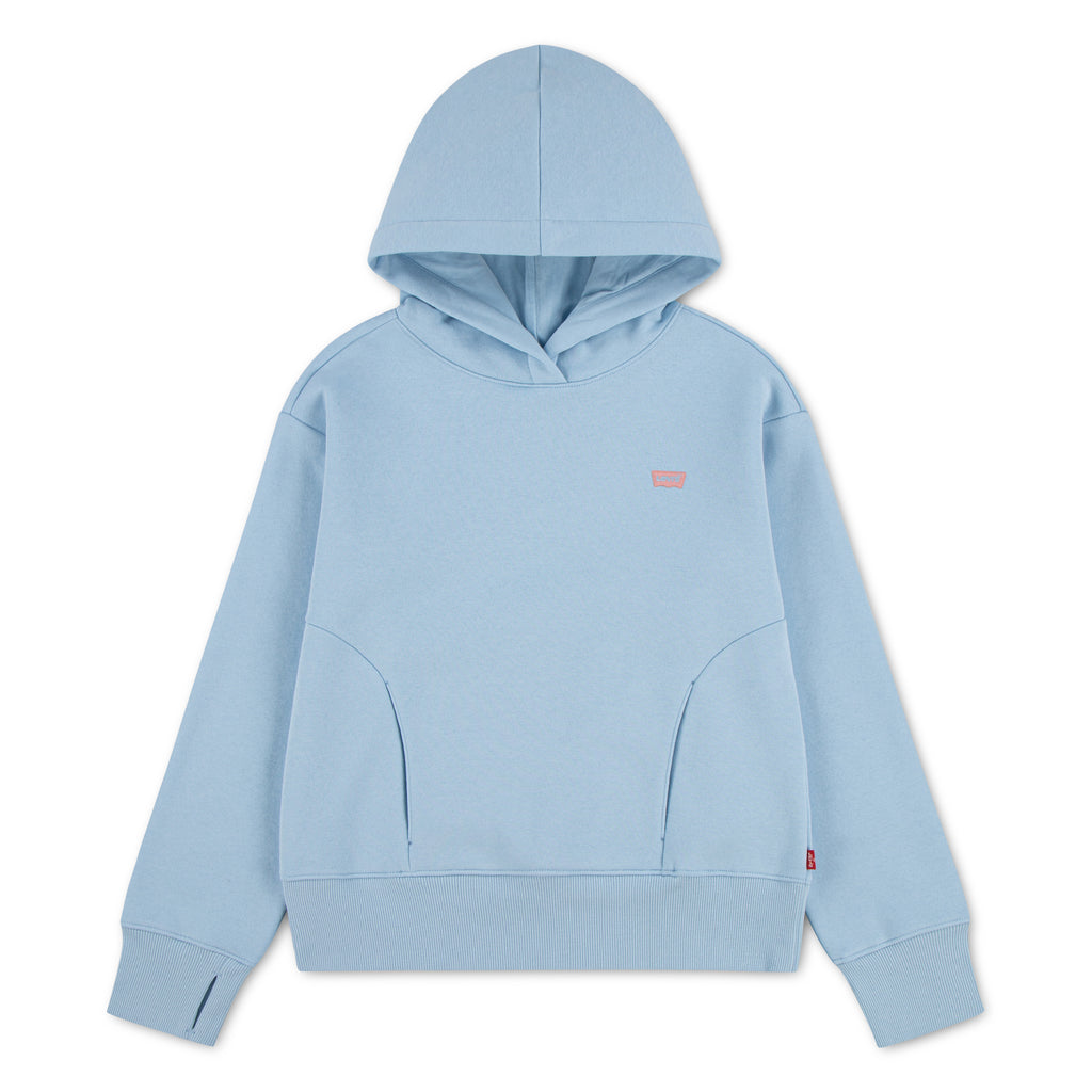 LVG BATWING PATCH HOODIE