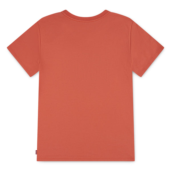 TS Levis Chambray Applique