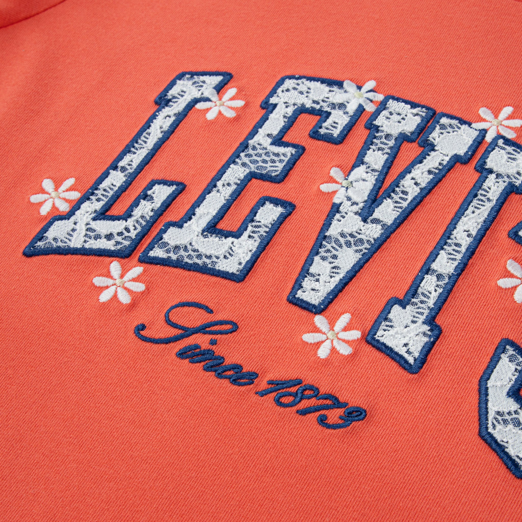 TS Levis Chambray Applique