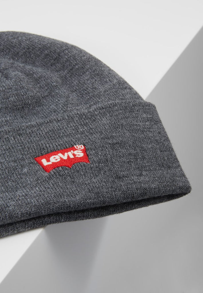 Batwing Embroidered Beanie