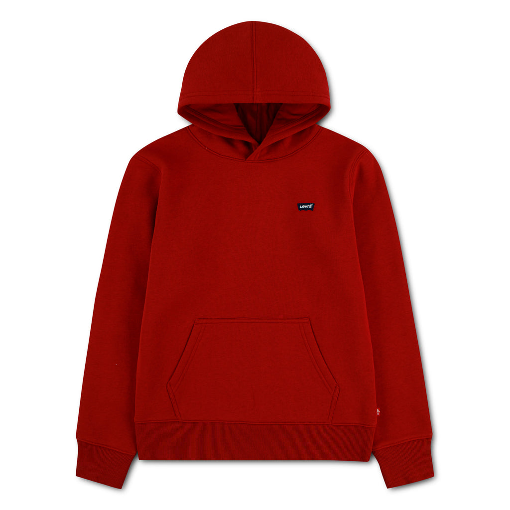LVB MINI BATWING HOODIE