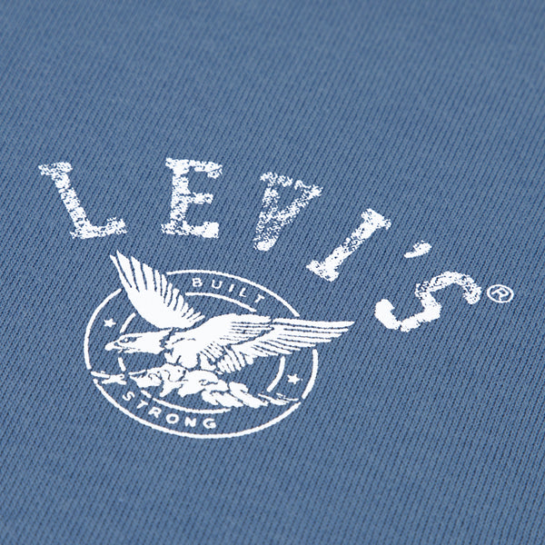 LVB THE ORIGINAL VINTAGE HOODIE