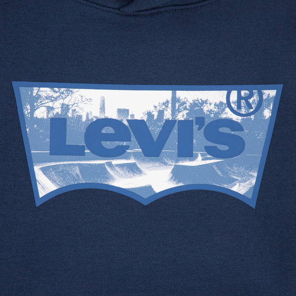 LVB SKATE PARK BATWING HOODIE