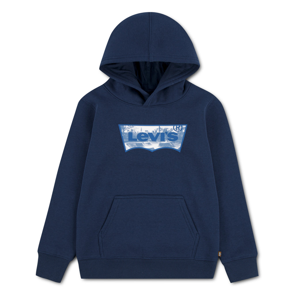 LVB SKATE PARK BATWING HOODIE