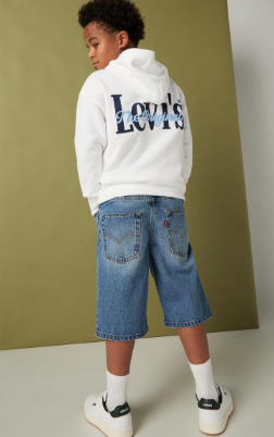 LVB Skate Shorts