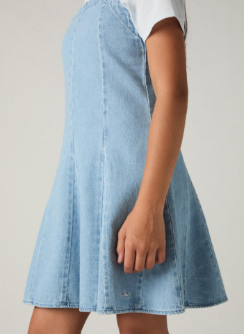 Dress Godet