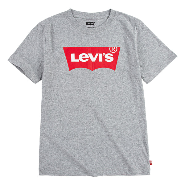T-shirt manches courtes BATWING GRIS