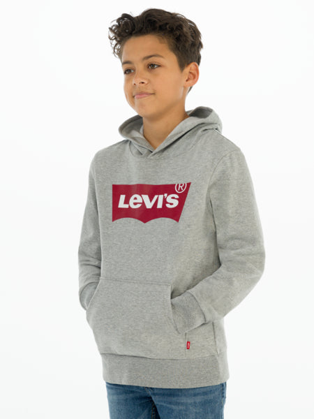 Sweat à capuche WING GREY